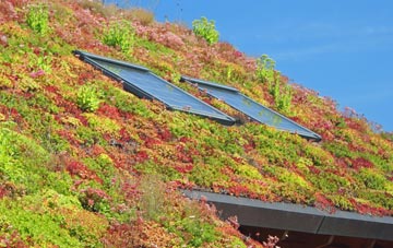 Great Barugh living roof systems